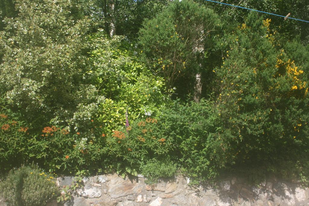 Laragh Mountain View Lodge Saggart Cameră foto