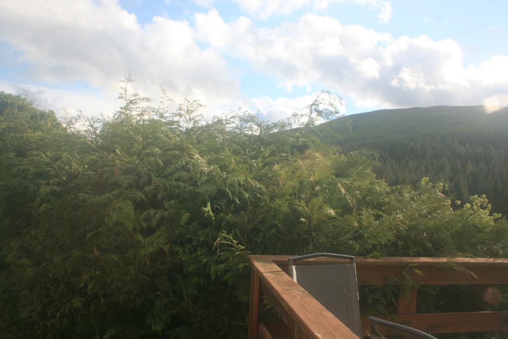 Laragh Mountain View Lodge Saggart Cameră foto