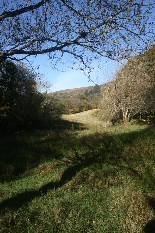 Laragh Mountain View Lodge Saggart Exterior foto